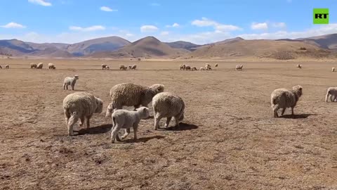 Lake Titicaca at historic low amid severe heatwave