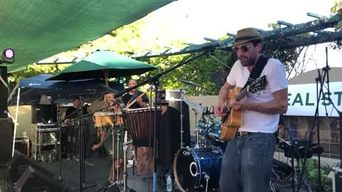 Groove shine at the Avocado Festival 2018