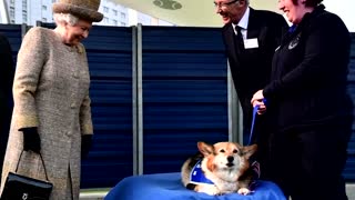 Queen's corgis to live with Prince Andrew and ex wife