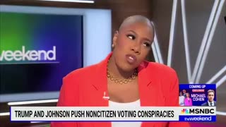 Insane MSNBC Host Thinks It's Insane to Require Proof of Citizenship to Vote