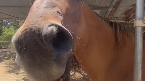 Snack time 🥕