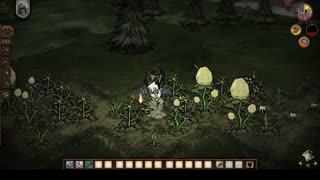 Don't Starve Together 7