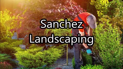 Sanchez Landscaping - (747) 319-7155