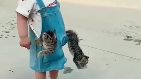 Kittens in my pocket🤣