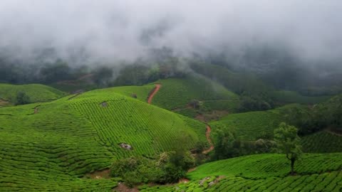 "Experience the Mesmerizing Beauty of Munnar, Kerala | Aerial Journey Through Stunning Landscapes"