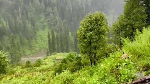 This is Pakistan 😍 swat valley KPK PAKISTAN 😍❤️