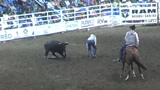 Rodeo in ND Steer wrestling