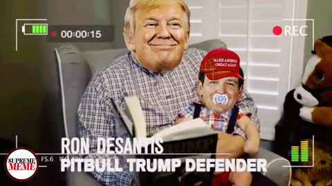 They Grow Up So Quick & Then Forget! Ron Desantis & Donald Trump Video Meme!
