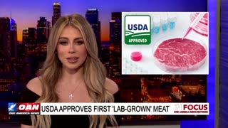 Lab Grown Meat