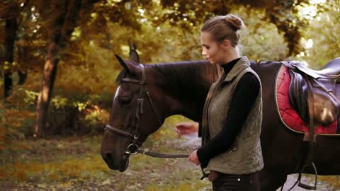 Young beautiful woman is petting a brown horse