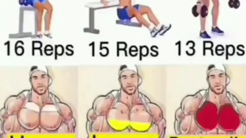 Full Upper Body Workout Exercises - Health & Fitness Tips