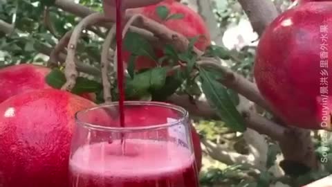 Fresh pomegranate juice! 😋Sound up for ultimate satisfaction