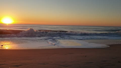 Birds avoid the surf