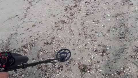 Metal detecting on the beach