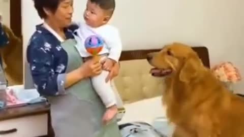 Cute dog care baby ||Dog helping video ||Dog and baby's