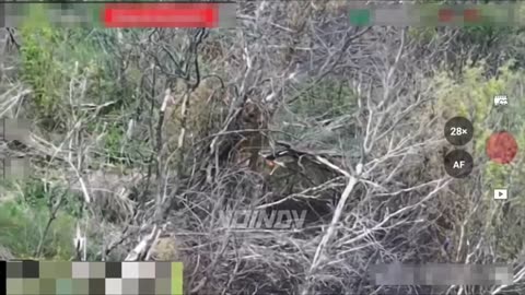 Ukrianian forces caught fire, fail to stop drop and roll