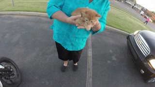 Motorcyclist Saves Kitten Stuck On A Busy Street