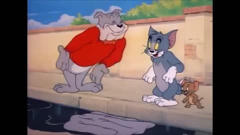 Tom and Jerry, 35 Episode - The Truce Hurts (1948)