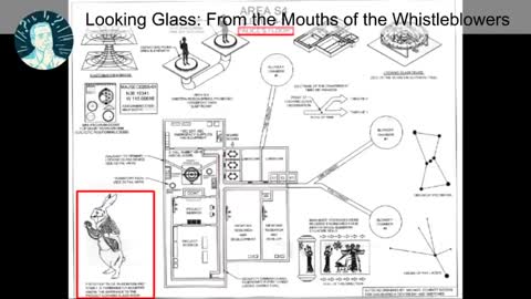 Looking Glass From the Whistleblowers Mouths