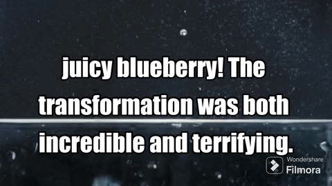 Grace’s First Person Blueberry Inflation Story 🫐