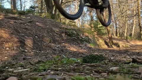 Mountain bike jumping practice. Practice makes perfect. #mtb #fun #mountainbike #forest
