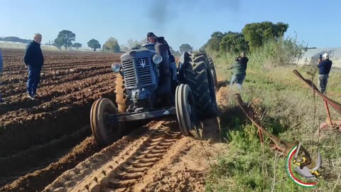 Tractor racing