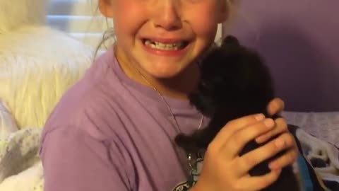 Little girl is surprised with a brand new kitten