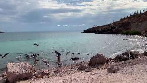 We went spearfishing in Baja Mexico from our paddle board.