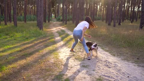 Funny Dog Enjoying with Girl in jungle