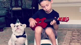 Little Boy Serenades Frenchie For His Second Birthday