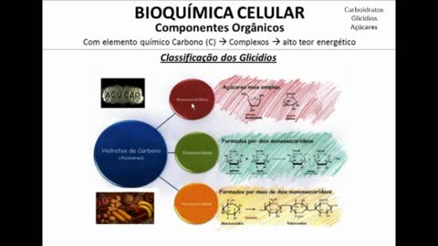 Citologia: Bioquímica Celular --> Carboidratos - MinhaEscolaWeb