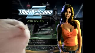 Need For Speed Underground Funny Cat