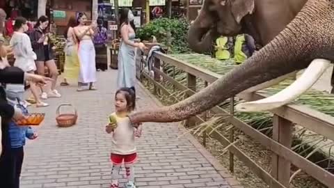 Baby Vs Elephant 🐘 || #shortsf