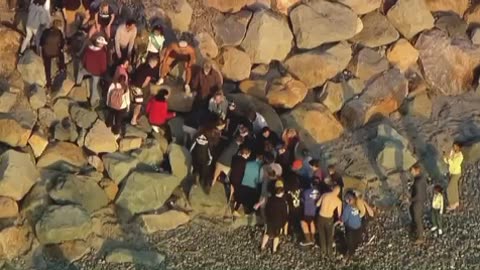 UPDATE: A group of beachgoers & community members came together to help rescue a baby sperm whale 🐋