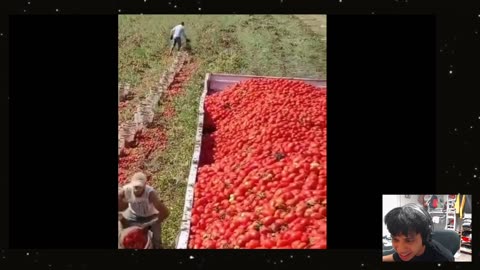 COOL. Watch How this Guy Chucks Tomatoes.