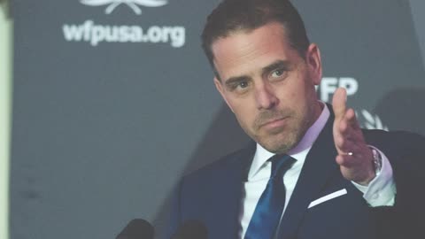 Hunter Biden begged Hallie for cash to go to rehab before gun buy | New York Post