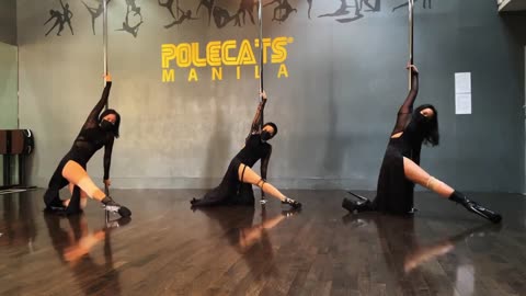 Streets - Doja Cat, violin cover, Joel Sunny - Pole Choreography
