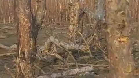 Ukrainian soldier shows the destruction around his trench