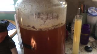 Blanca’s Ale2023 Kegging