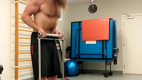 X3 bar Pull Day