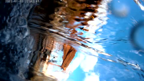 behind the waterfall in my koi pond