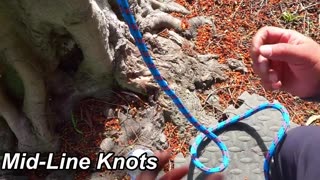 All the tree knots