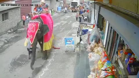 Elephant goes on destructive rampage, completely destroys vehicle