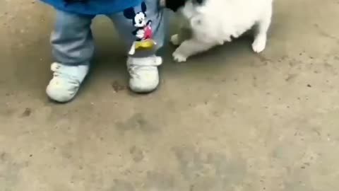 Cute Baby and Puppy Short