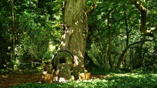 Gong in the Forest with nature sounds