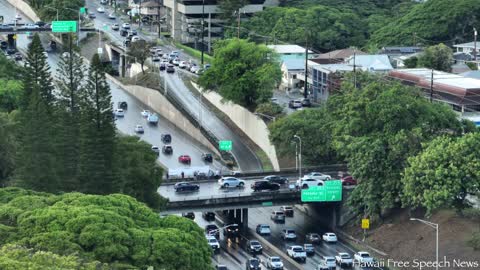 H-1 Freeway AFC Protest Against CDC's Childhood Vaccine Update (Oct 28, 2022)