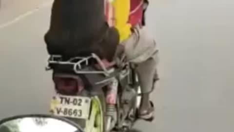 Dog ride with man bike 🏍 #viral