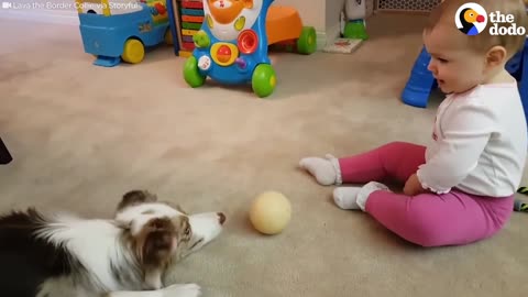 Baby Plays Catch With Puppy | The Dodo