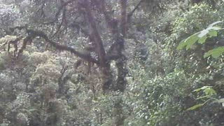 3rd level pond up waterfall behind Pan de Azucar