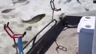 How we get into fishing
